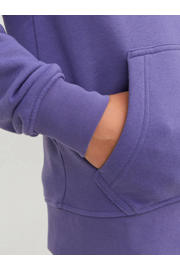 thumbnail: JACK & JONES JUNIOR hoodie JORVESTERBRO met tekst paars