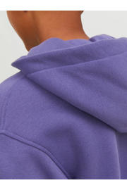 thumbnail: JACK & JONES JUNIOR hoodie JORVESTERBRO met tekst paars