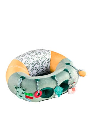 Baby Seat & Play 2-in-1