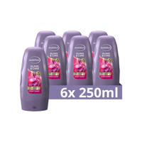 thumbnail: Andrélon Glans & Care conditioner - 6 x 250 ml