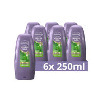 thumbnail: Andrélon Iedere Dag conditioner - 6 x 250 ml