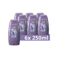 thumbnail: Andrélon Zilver Care conditioner - 6 x 250 ml
