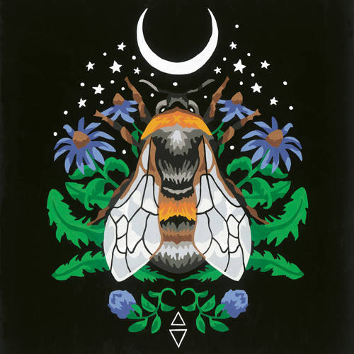 Ravensburger Pixie Cold Edition Bee Schilderen op nummer voor volwassenen