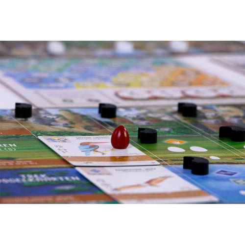 999 Games wingspan uitbreiding: azië uitbreidingsspel