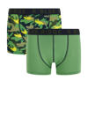 Ivy Green