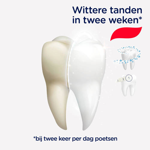 Prodent White System tandpasta 12 x 75 ml | Tandpasta van