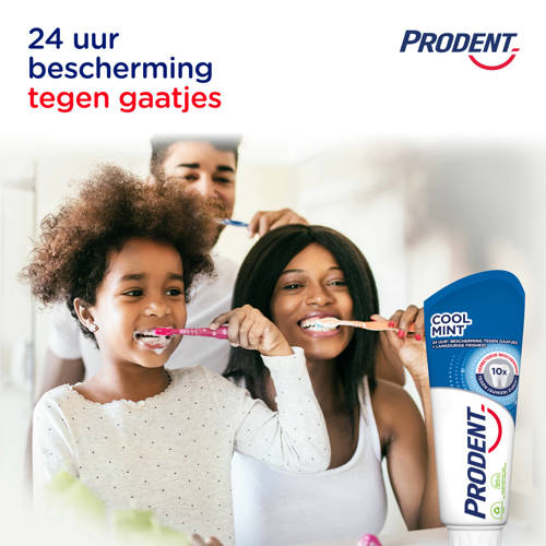 Prodent Cool Mint tandpasta 12 x 75 ml | Tandpasta van
