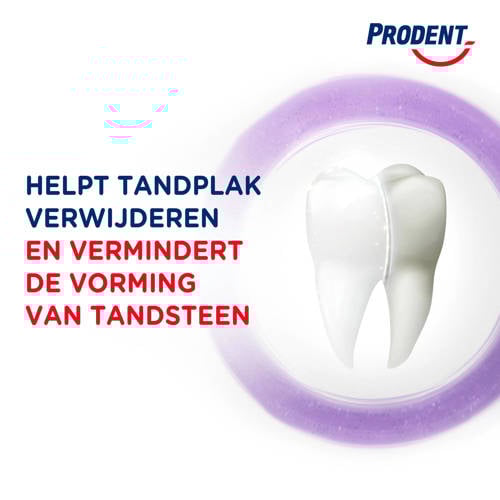 Prodent Anti-Tandsteen tandpasta 12 x 75 ml | Tandpasta van