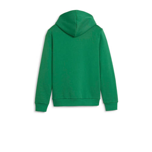 Puma hoodie groen Trui Sweat Capuchon Logo 110