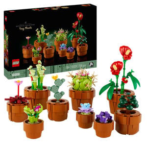 Miniplantjes 10329