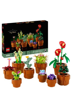 Miniplantjes 10329