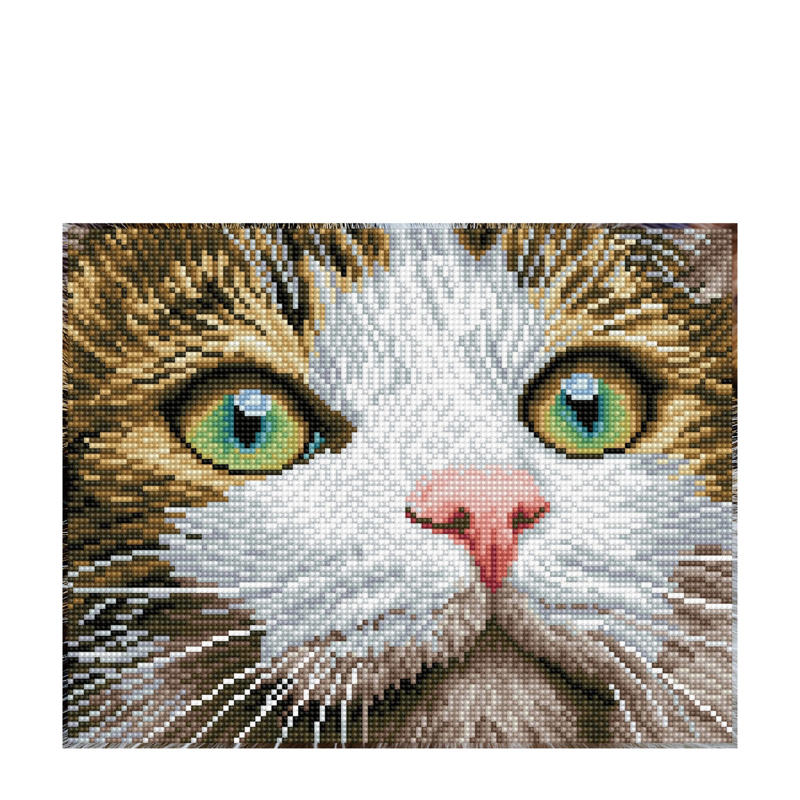 Diamond Dotz – Quadro Gatto Occhi Verdi Con Cornice (28,9x36,7 Cm) – Kit Completo Di Pittura Con Diamanti