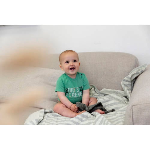 Dirkje T-shirt ss met tekst groen Jongens Katoen Ronde hals Tekst 56
