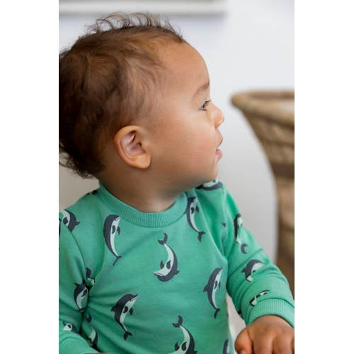 Dirkje sweater ls met all over print groen All over print 56