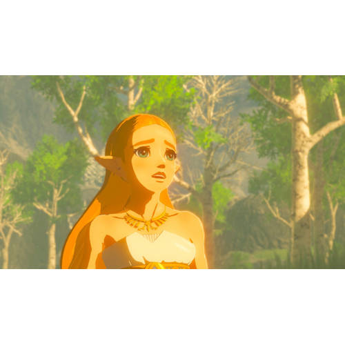 Nintendo The legend of Zelda: Breath of the Wild ( Switch)