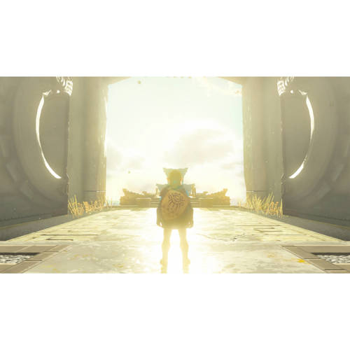 Nintendo The Legend of Zelda Tears of the Kingdom ( Switch)