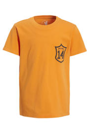 thumbnail: Oranje jongens en meisjes anytime T-shirt van katoen met printopdruk, korte mouwen en ronde hals