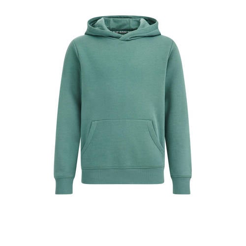 WE Fashion Blue Ridge hoodie topaz Sweater Groen Effen - 110/116