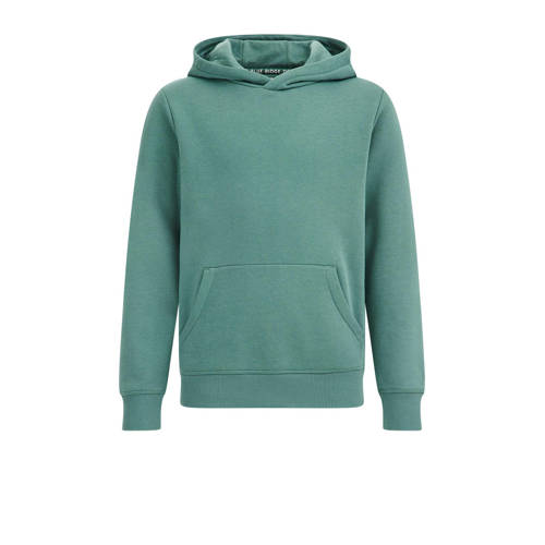 WE Fashion hoodie topaz Sweater Groen 