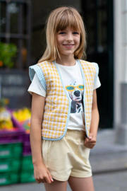 thumbnail: Moodstreet geruit reversible gilet lichtgeel/ecru/lichtblauw
