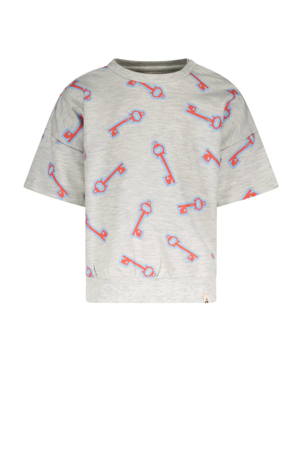 Grijs en lichtblauwe jongens en meisjes The New Chapter T-shirt Lux van sweat materiaal met korte mouwen, ronde hals en drukknoopsluiting