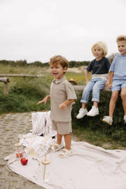 thumbnail: Bruine jongens LEVV T-shirt van polyester met effen, korte mouwen, klassieke kraag en knoopsluiting