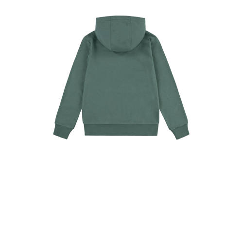 Levis Levi's Kids hoodie BATWING met logo donkergroen Sweater Logo 116
