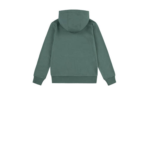 Levis Levi's Kids hoodie BATWING met logo donkergroen Sweater Logo 116