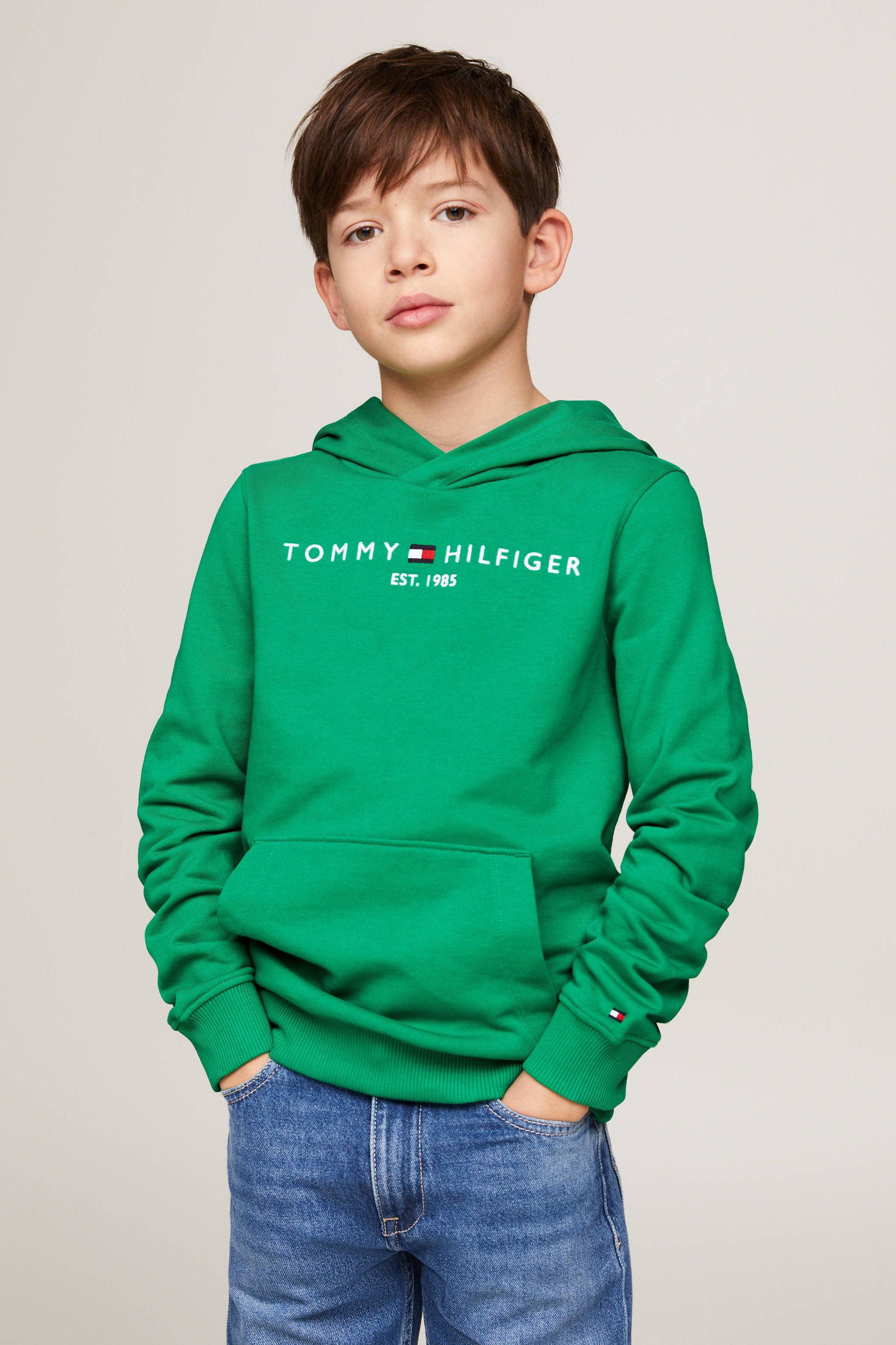 Tommy hilfiger hot sale hoodie 152