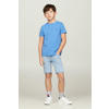 Tommy Hilfiger T-shirt blauw
