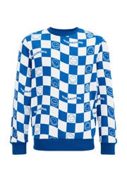 thumbnail: WE Fashion geruite sweater blauw/wit