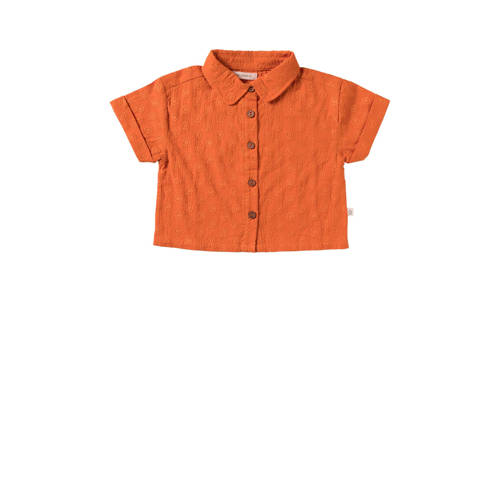 Your Wishes T-shirt Pika oranje Meisjes Katoen Klassieke kraag Effen