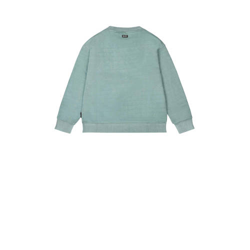Tumble 'n Dry sweater Lakeport met printopdruk mint groen Printopdruk 128