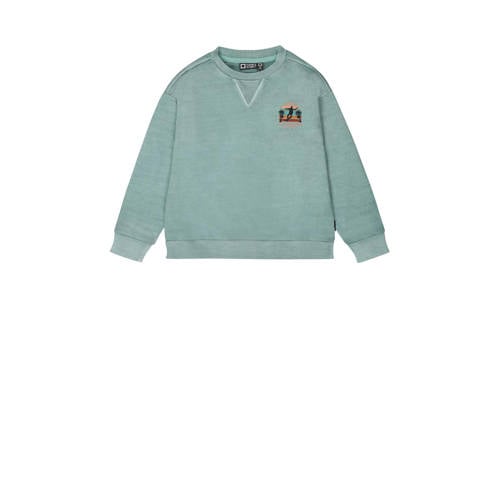 Tumble 'n Dry sweater Lakeport met printopdruk mint groen Printopdruk