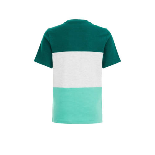 WE Fashion T-shirt groen wit Jongens Biologisch katoen Ronde hals Meerkleurig 98 104