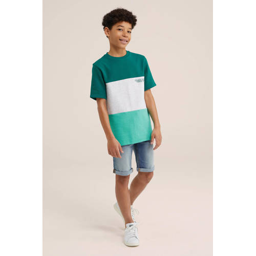 WE Fashion T-shirt groen wit Jongens Katoen Ronde hals Meerkleurig 110 116