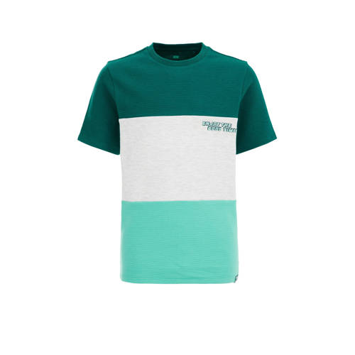 WE Fashion T-shirt groen/wit Jongens Katoen Ronde hals Meerkleurig - 110/116