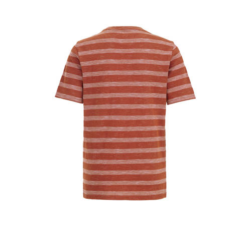 WE Fashion t-shirt met streep bruin Jongens Biologisch katoen Ronde hals 158 164