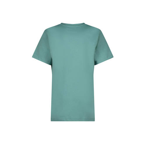 Raizzed T-shirt Hamilton met logo zacht zeegroen Jongens Katoen Ronde hals 140