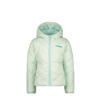 Mintgroen