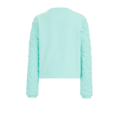 WE Fashion sweater turquoise Blauw Effen 98 104 | Sweater van