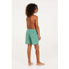 Protest zwemshort CULTURE JR groen