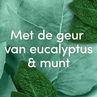 thumbnail: Dove Men+Care Advanced Eucalyptus + Mint anti-transpirant deodorant spray - 6 x 150 ml