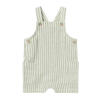 NAME IT BABY baby gestreepte tuinbroek NBMHILOM groen/wit