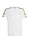Wit/groen