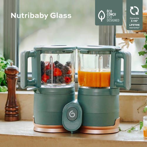 Babymoov Nutribaby Glass Blender stomer | Blender stomer van