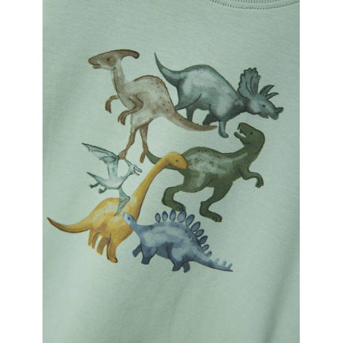 Name it MINI T-shirt NMMFAUST met paisleyprint zachtgroen Jongens Biologisch katoen Ronde hals 104