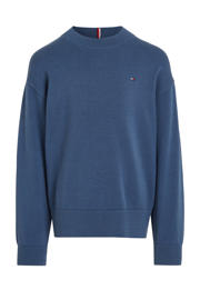 thumbnail: Blauwe jongens Tommy Hilfiger sweater van katoen 