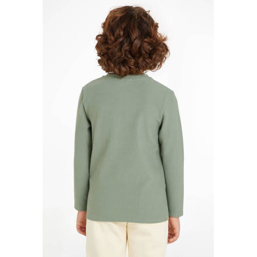 Calvin Klein longsleeve groen Jongens Katoen Ronde hals Effen 176