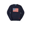 Polo Ralph Lauren sweater met printopdruk blauw